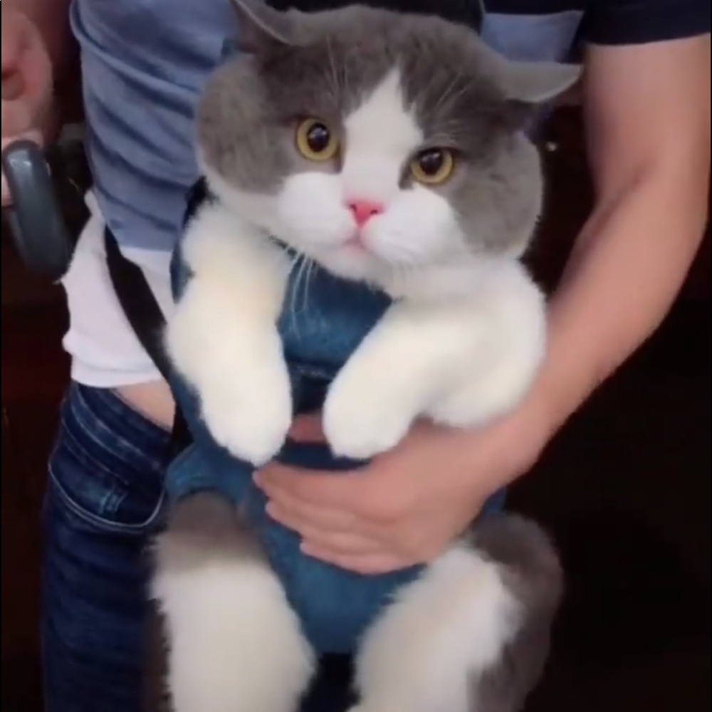 Meet your Posher, James